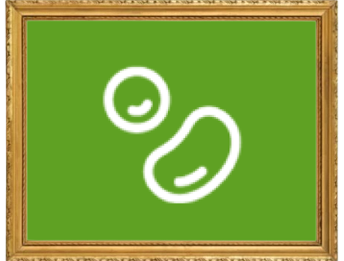 BeanBros(MeLog)